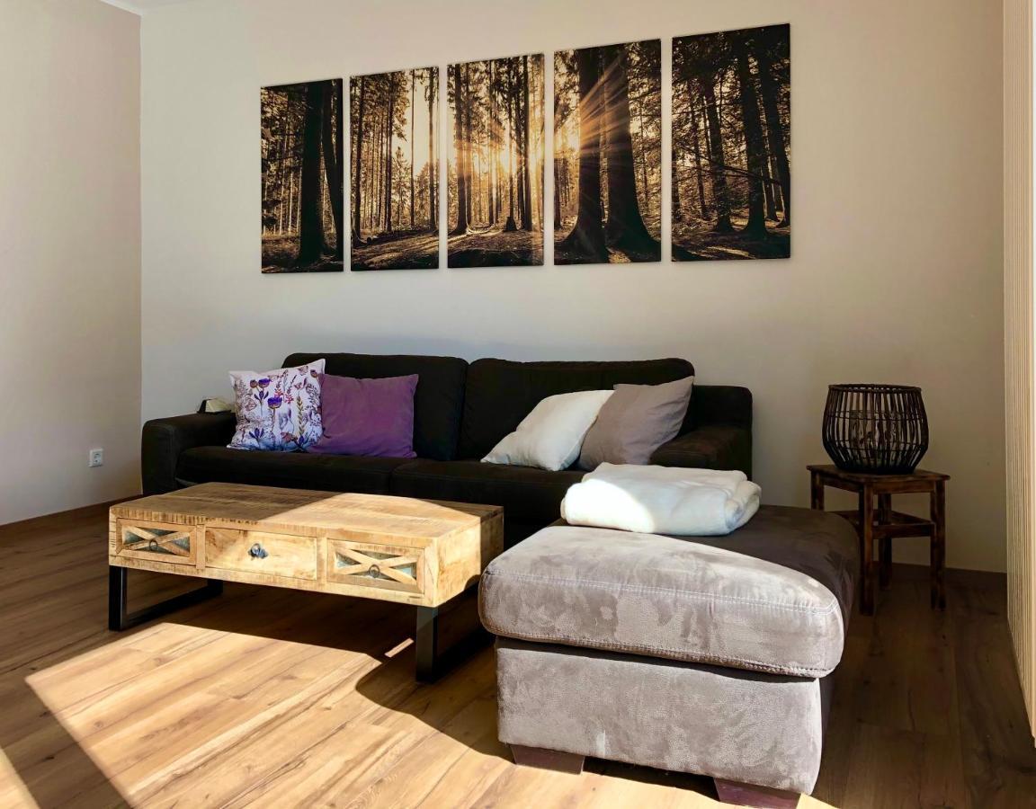 Ferienwohnung Tannenglueck シュマレンベルク エクステリア 写真